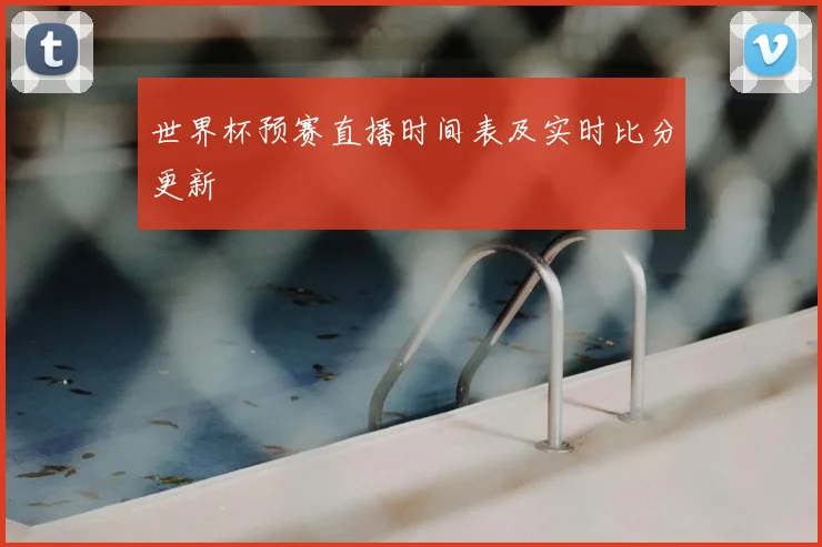 世界杯预赛直播时间表及实时比分更新