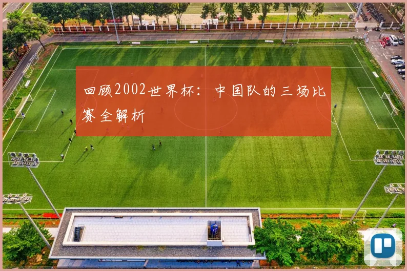 回顾2002世界杯:中国队的三场比赛全解析