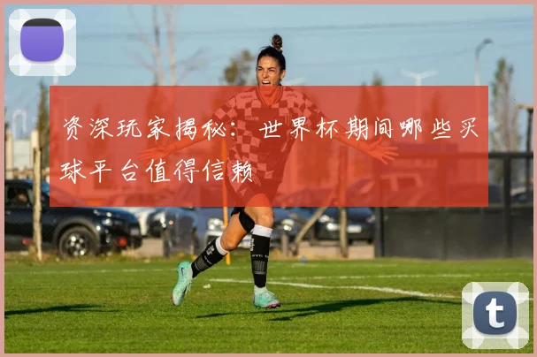 资深玩家揭秘：世界杯期间哪些买球平台值得信赖