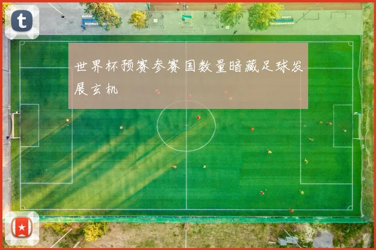 世界杯预赛参赛国数量暗藏足球发展玄机